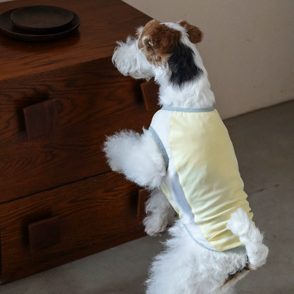 Ocean Breeze Cooling Vest gilet for dogs