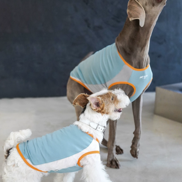 Ocean Breeze Cooling Vest gilet for dogs