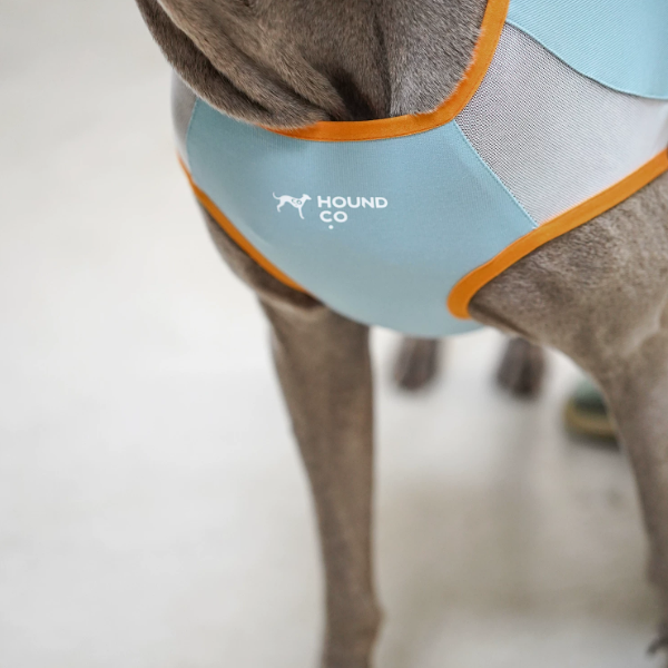 Ocean Breeze Cooling Vest gilet for dogs