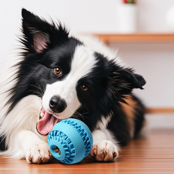 Rubber Dog Treat Ball, Ridged Kibble Dispenser, 2 Sizes