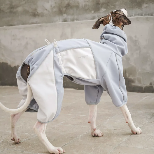 Everyday Love Weather-Resistant Onesie for Dogs
