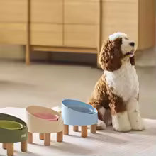 Tilted Raised Ceramic Cat Bowl - Angled Pet Bowl on a Footed Stand for Cats and Small Dogs, Pastel Colours