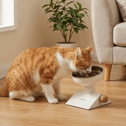 Height-Adjustable Raised Pet Bowl - 304 Stainless Steel Bowl on Elevated Stand for Dogs and Cats