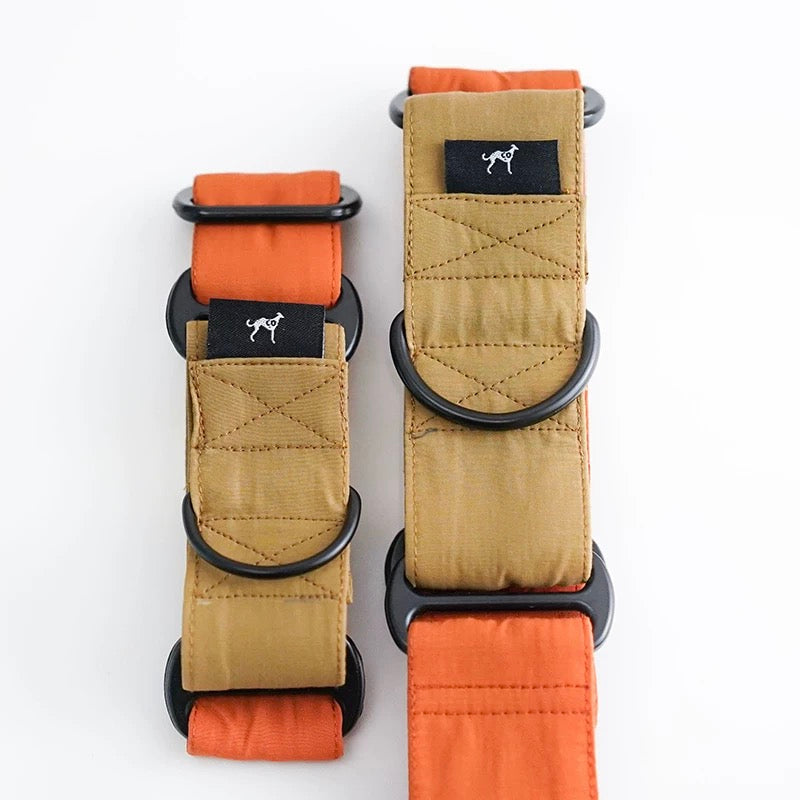 Rover’s Resilience Collar collar for dogs