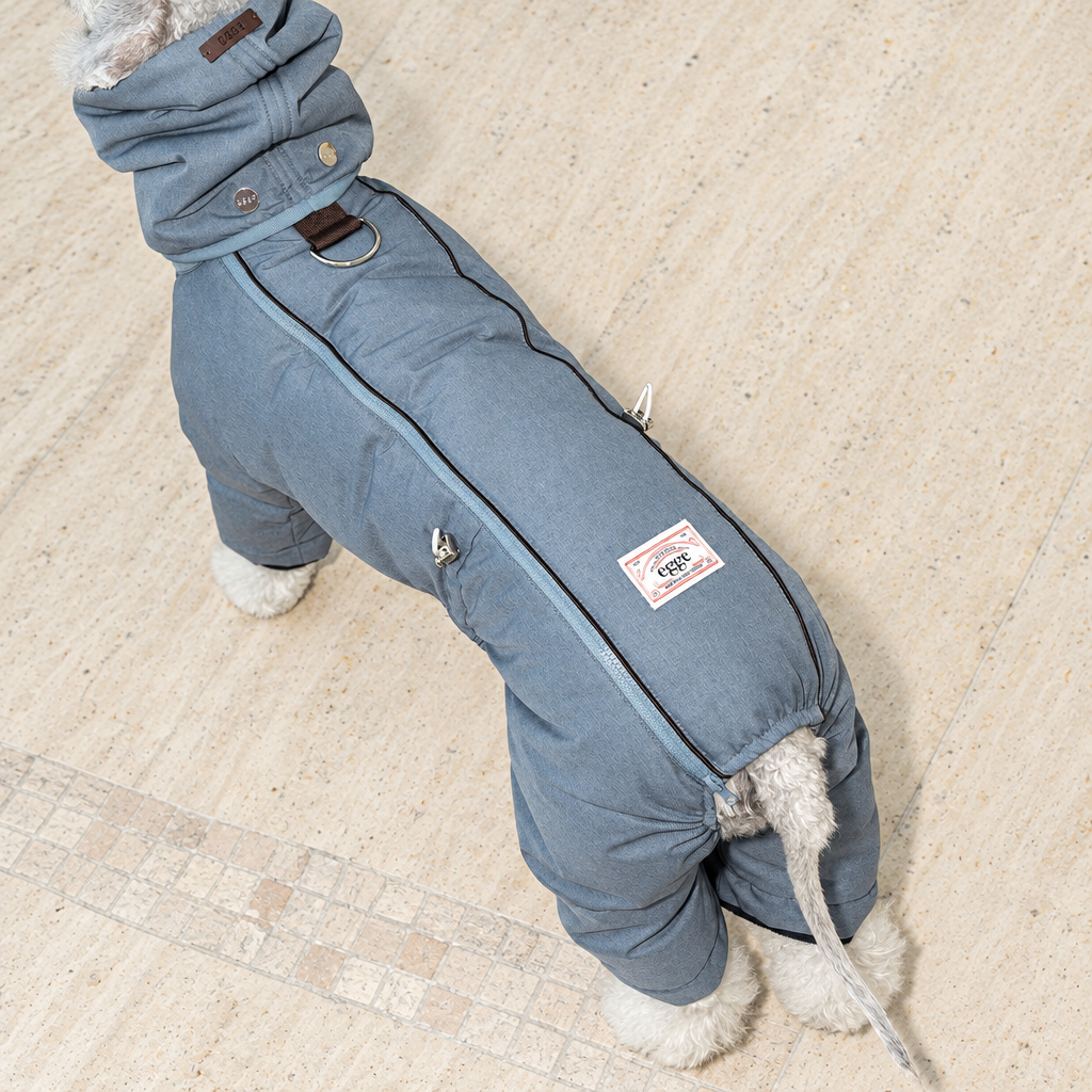 Après blue back view