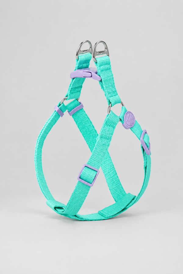 Dog Collar & Rope Lead Set – Quick-Release Collar with Padded-Handle Lead