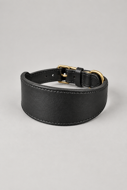 Leather sighthound collar in Black