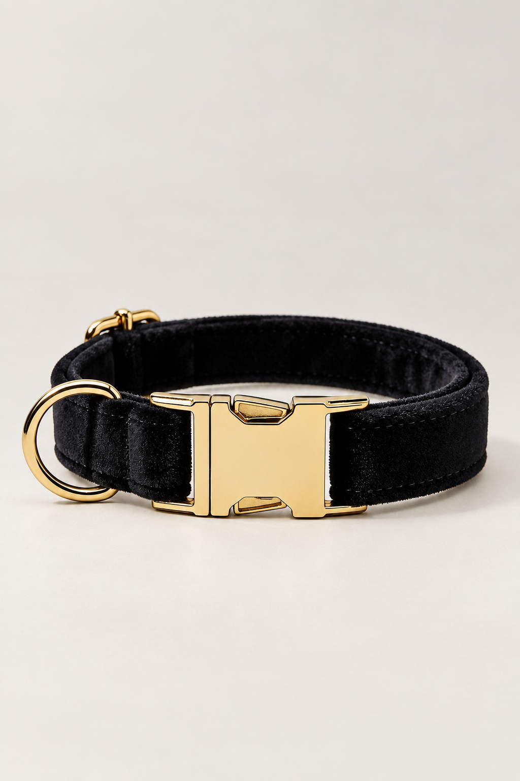 Velvet dog collar with gold buckle in Black
