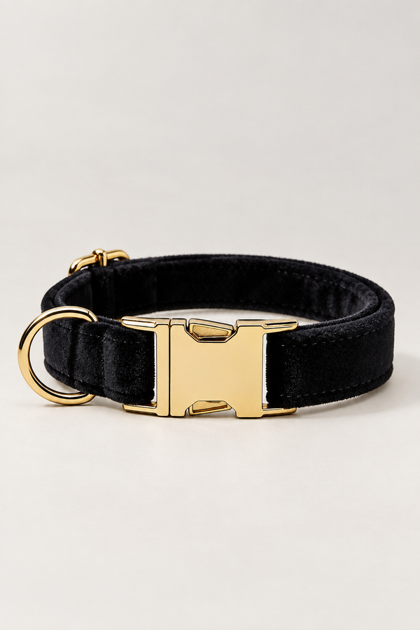 Velvet Dog Collar with Gold Buckle – Luxury Quick-Release Collar, 14 Colours