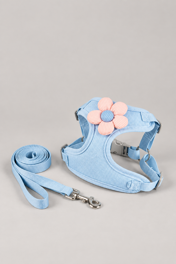 Small Dog Harness & Lead Set – Breathable Sunflower Mesh Vest Harness