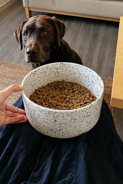 Bowl held in front of the dog, without text