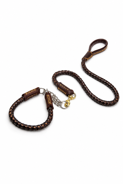 Braided leather collar clean-up preview 5