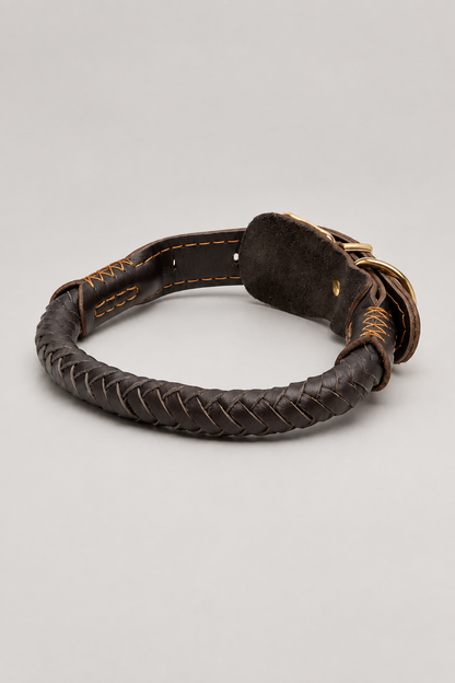 Brown braided collar and lead, studio view 6