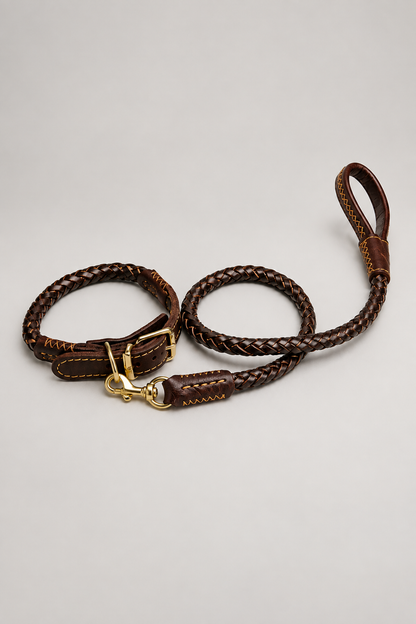 Brown collar buckle detail, studio view 4