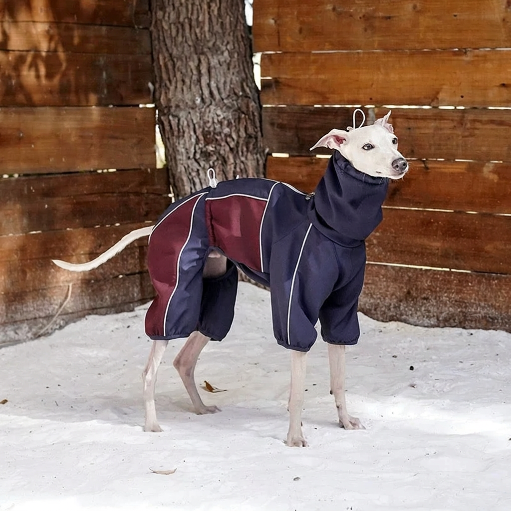 Everyday Love Weather-Resistant Onesie for Dogs