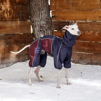 Everyday Love Weather-Resistant Onesie for Dogs