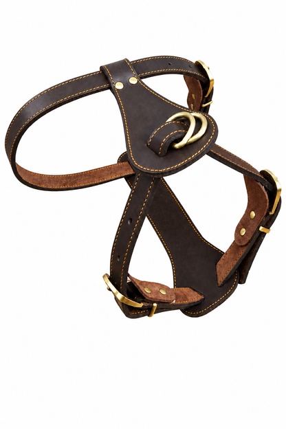 Vest-style leather dog harness in Harness