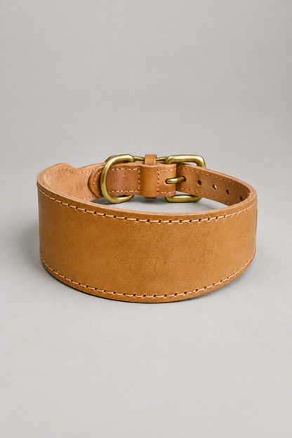 Leather sighthound collar in Caramel