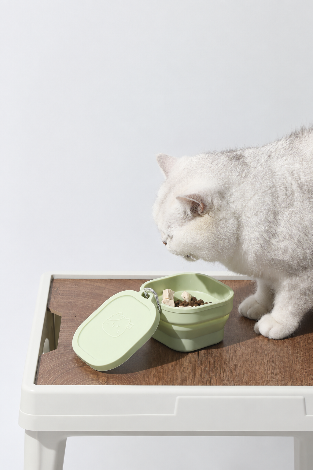 Collapsible dog bowl with lid – view 9