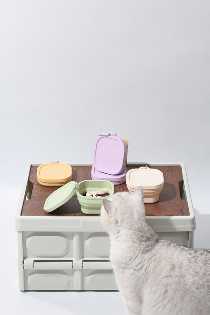 Collapsible dog bowl with lid – view 6