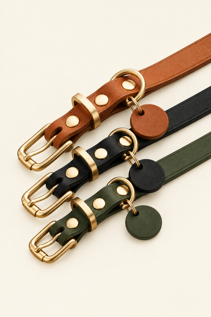 Leather dog collar with gold buckle – view 4