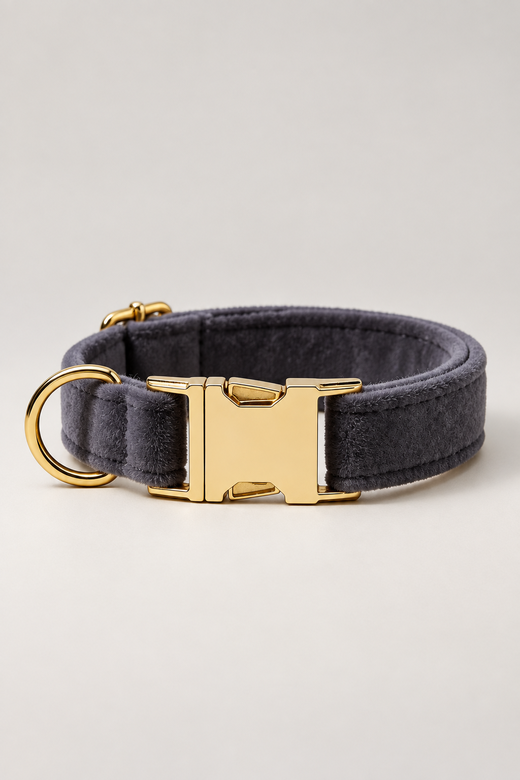 Velvet dog collar with gold buckle in Charcoal Grey