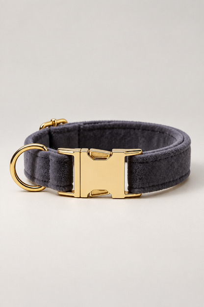 Velvet dog collar with gold buckle in Charcoal Grey