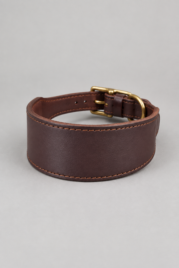 Leather Hound Collar – Whippet, Greyhound & Lurcher Collar with Brass Fittings