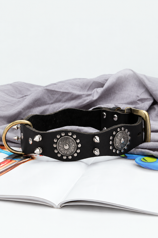 Studded Leather Dog Collar
