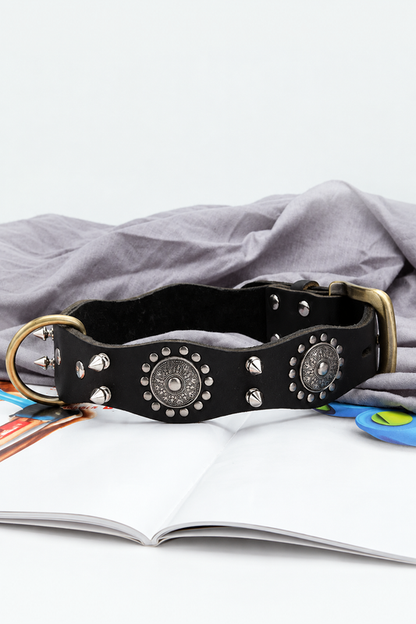 Studded Leather Dog Collar