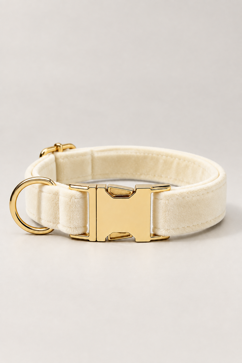 Velvet dog collar with gold buckle in Cream