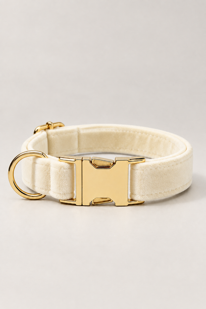 Velvet dog collar with gold buckle in Cream