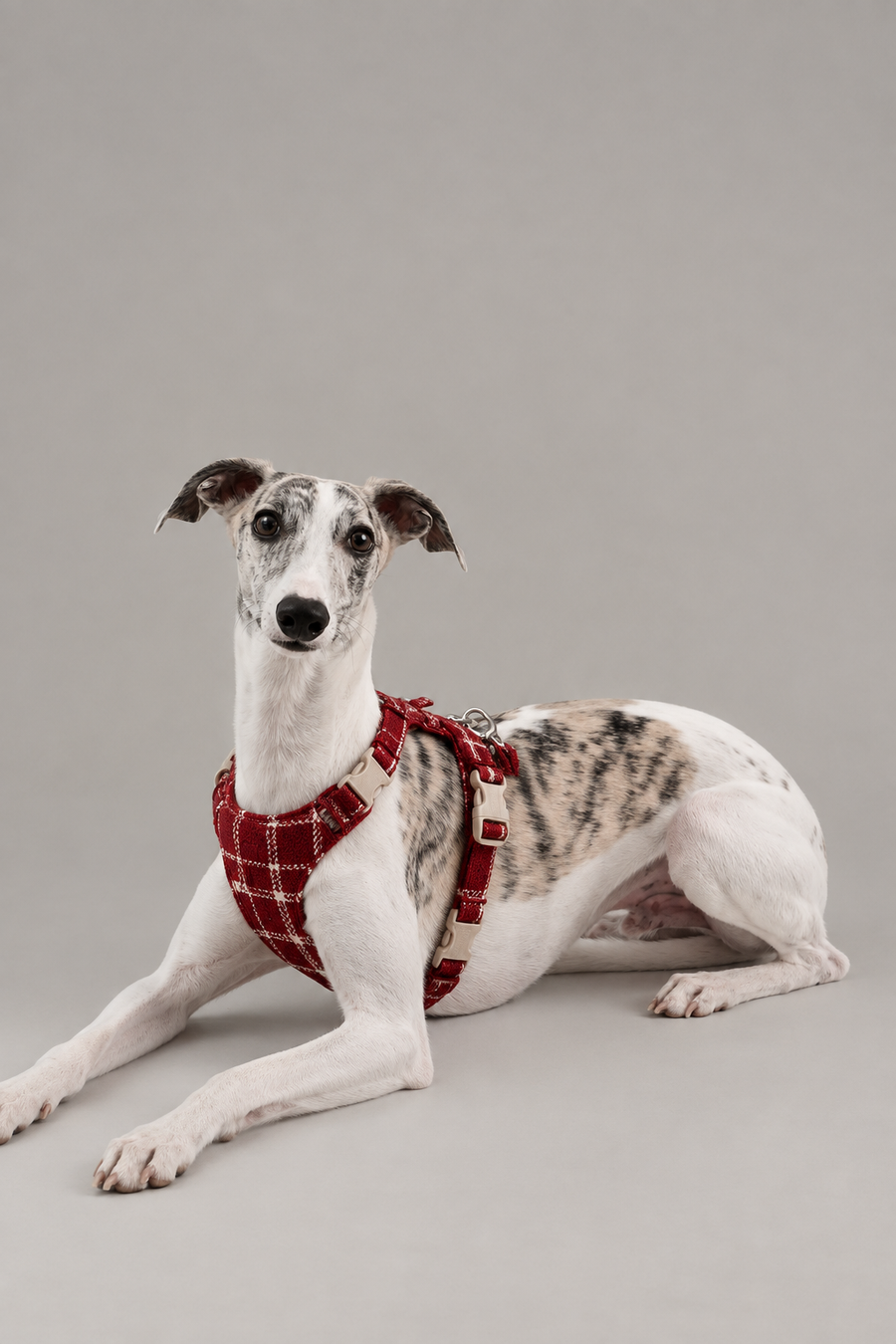 Cotton vest dog harness – view 2