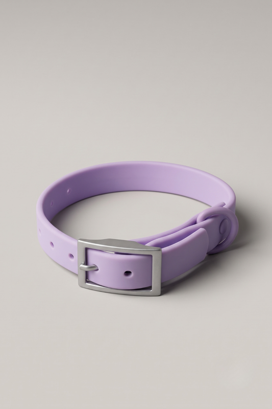 Wipe-clean PVC small dog collar in Purple