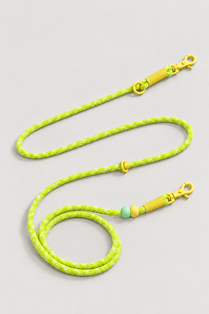 Braided rope dog lead in Cyber Lemon