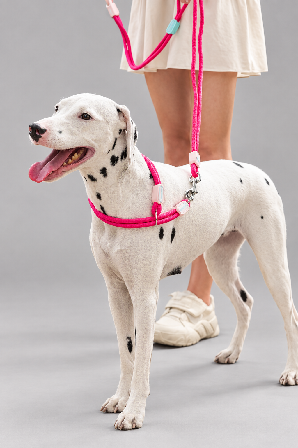 Nylon slip collar set – view 3