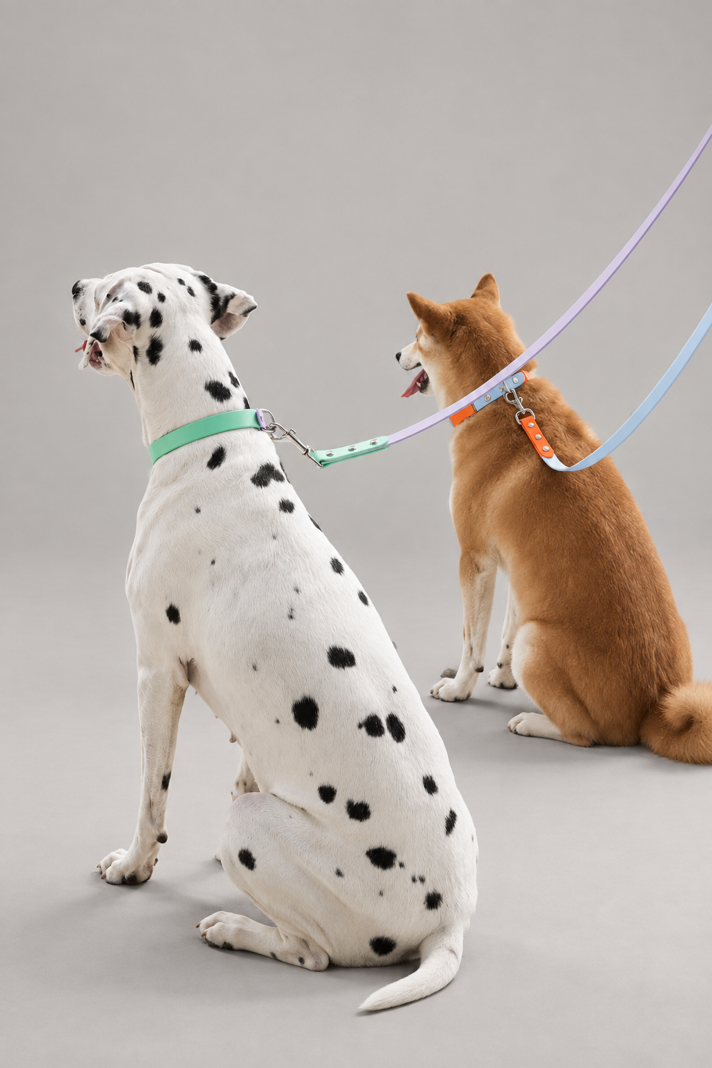 Two-tone PVC dog lead – view 4