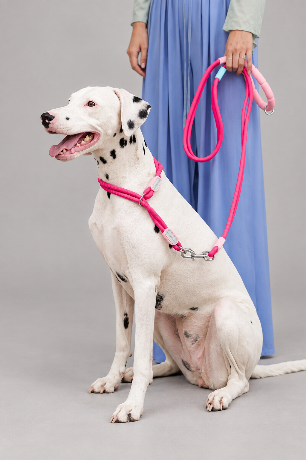 Nylon slip collar set – view 2