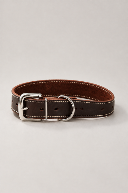 Full-grain leather dog collar in Dark Brown