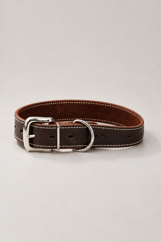Full-grain leather dog collar in Dark Brown