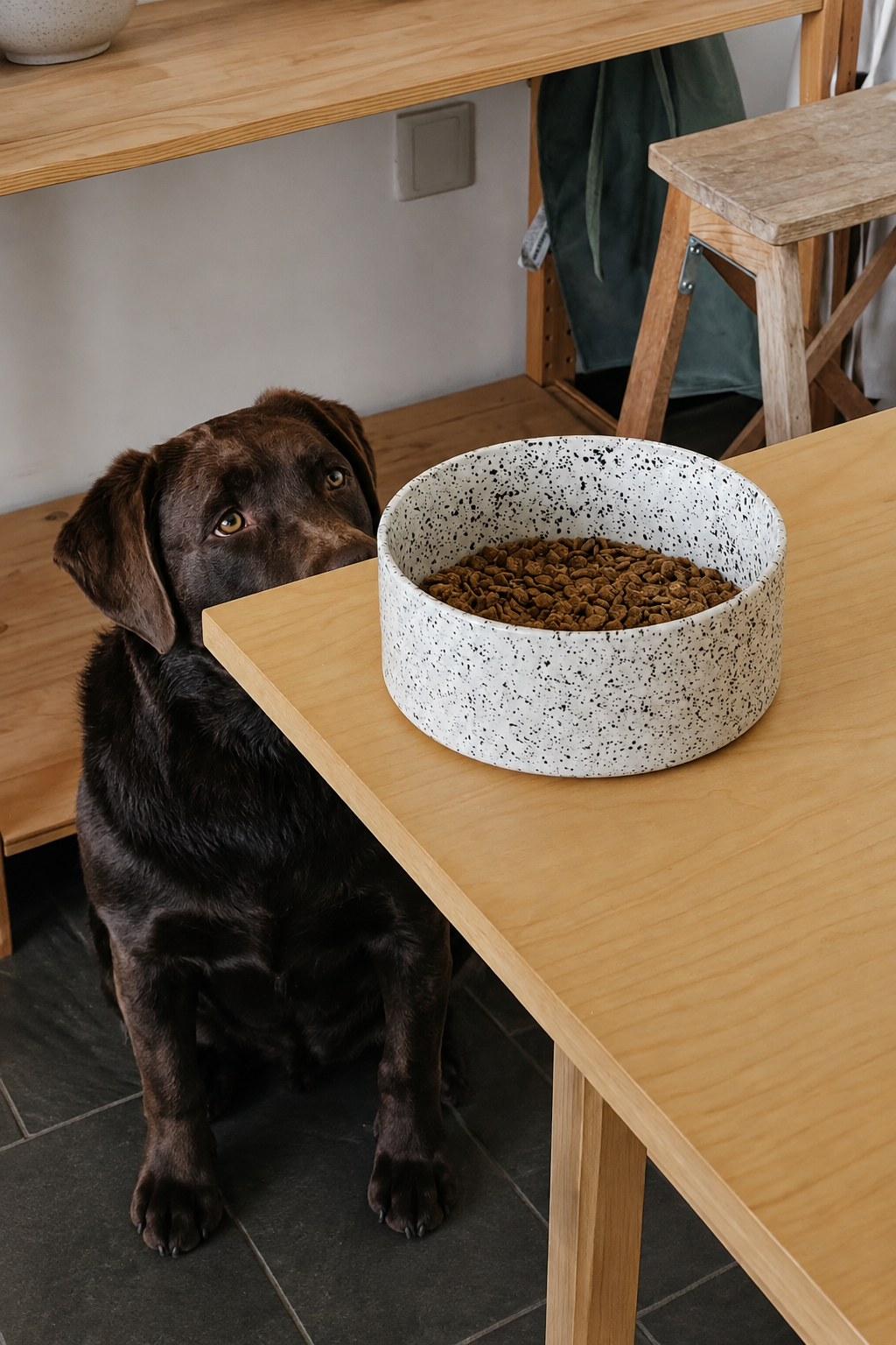 Dog beside the bowl on the table