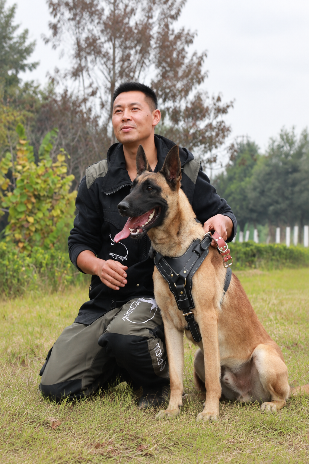 Heavy-duty leather dog harness – view 2