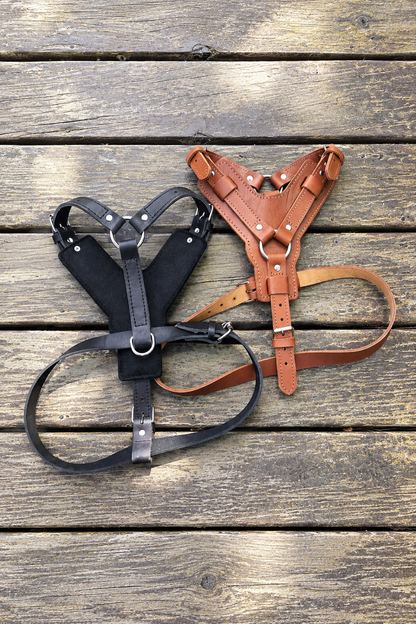 Heavy-duty leather dog harness – view 6