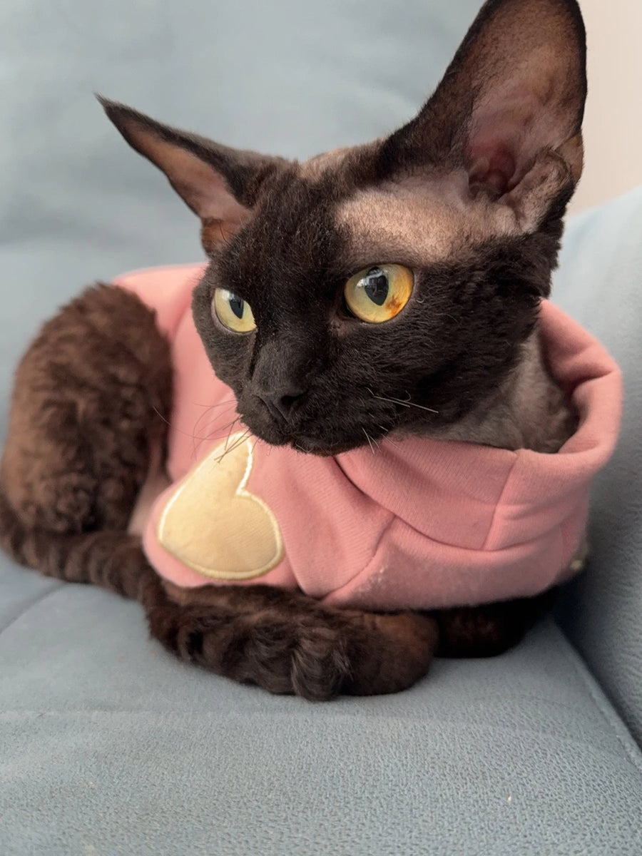 Heart Dog Hoodie – Simple Autumn Hoodie for Small Dogs and Cats, Toy Poodle, Bichon and Yorkie, XS to XL