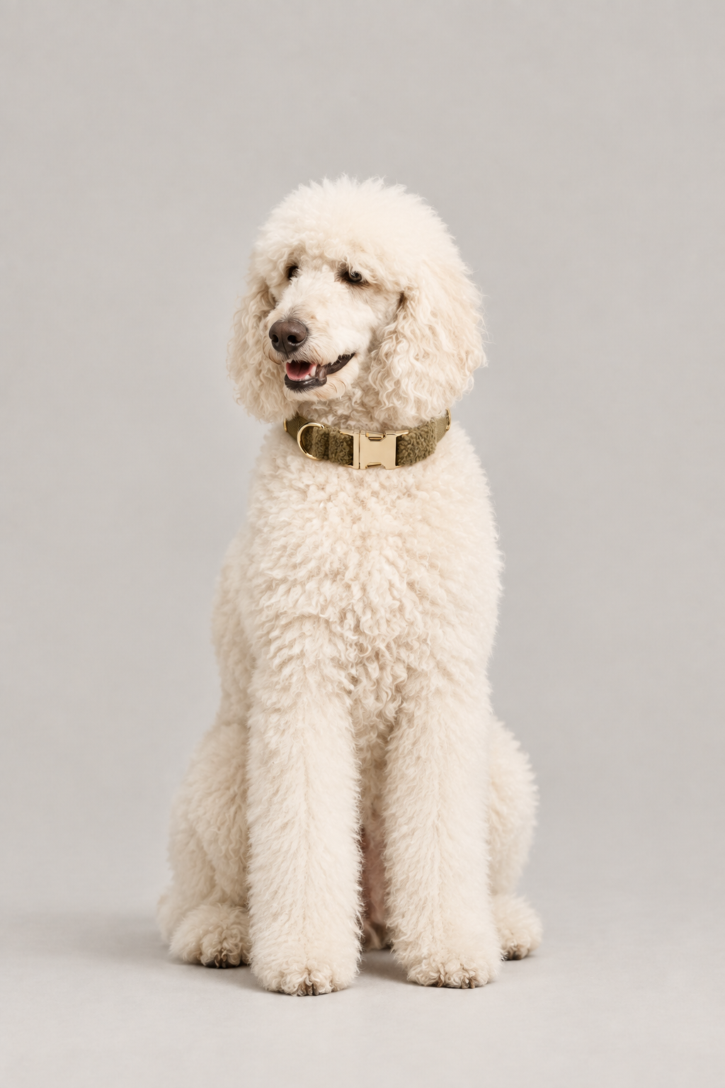 Teddy fleece dog collar – view 2