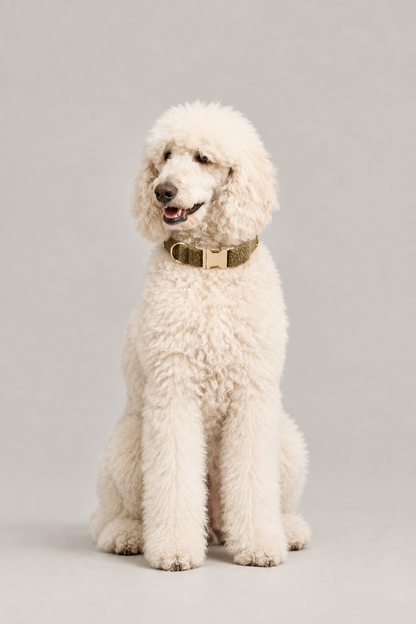 Teddy fleece dog collar – view 2