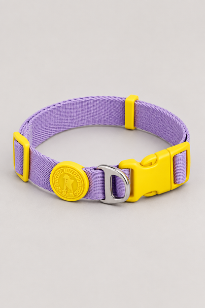 Padded quick-release puppy collar in Grape