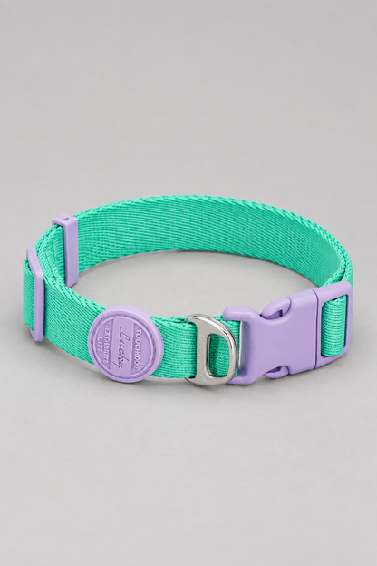Padded quick-release puppy collar in Green Grape