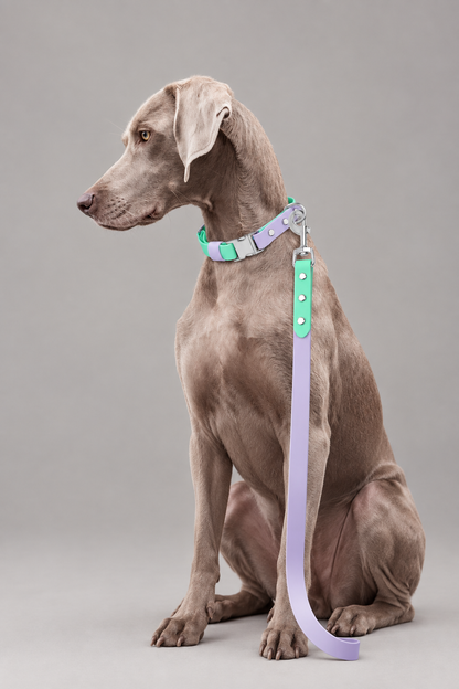 Two-tone PVC dog lead – view 5