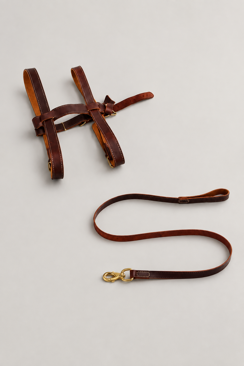 Grey studio brown harness and lead